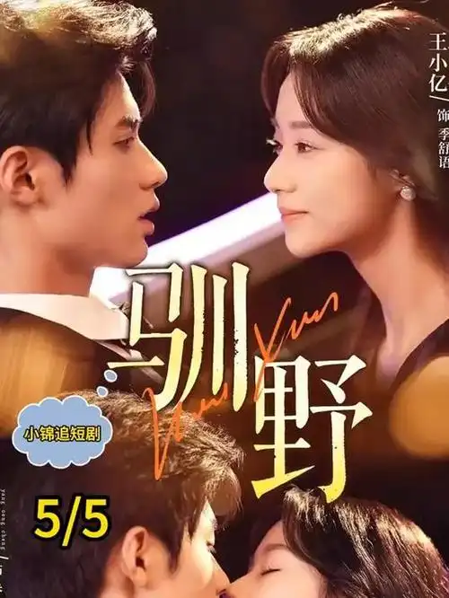 电影精选 纸上江湖 封面
